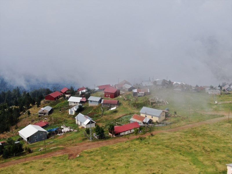 Karadeniz yaylaları sis altında