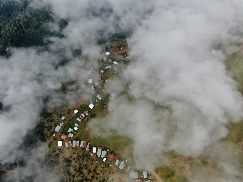 Karadeniz yaylaları sis altında