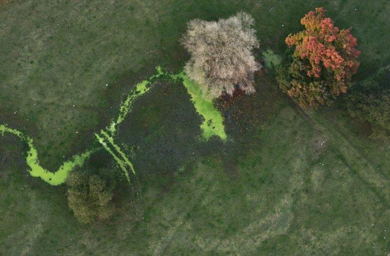 Efteni Gölü, sonbaharın büyülü renklerine büründü