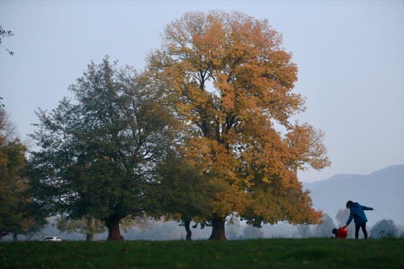 Efteni Gölü, sonbaharın büyülü renklerine büründü