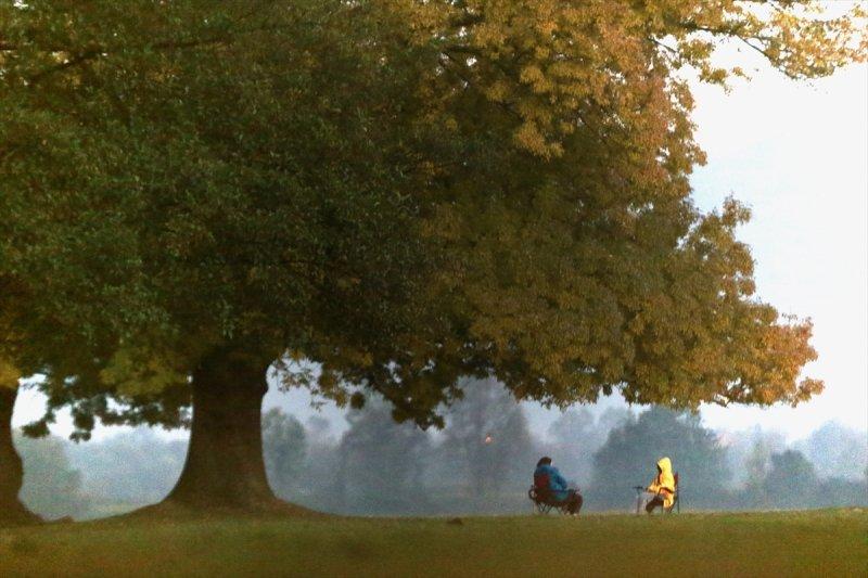 Efteni Gölü, sonbaharın büyülü renklerine büründü