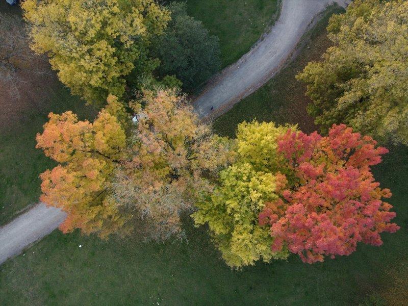 Efteni Gölü, sonbaharın büyülü renklerine büründü