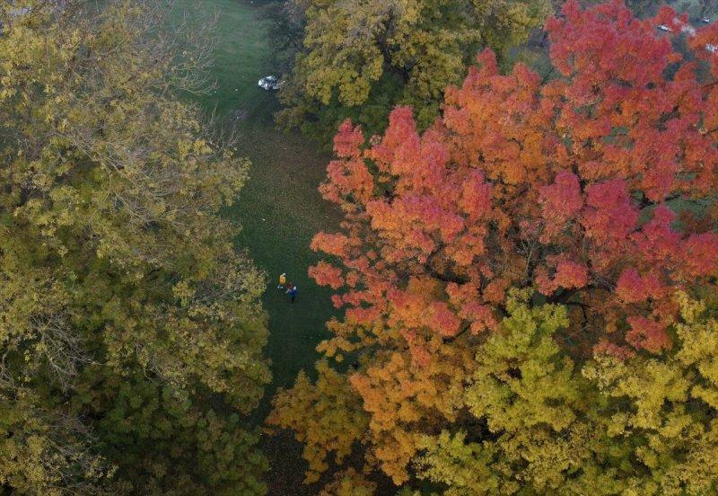 Efteni Gölü, sonbaharın büyülü renklerine büründü
