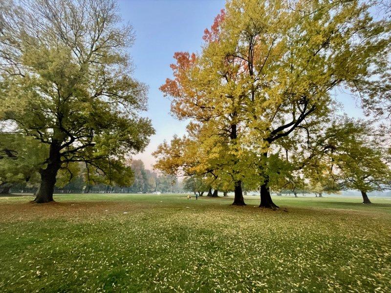 Efteni Gölü, sonbaharın büyülü renklerine büründü