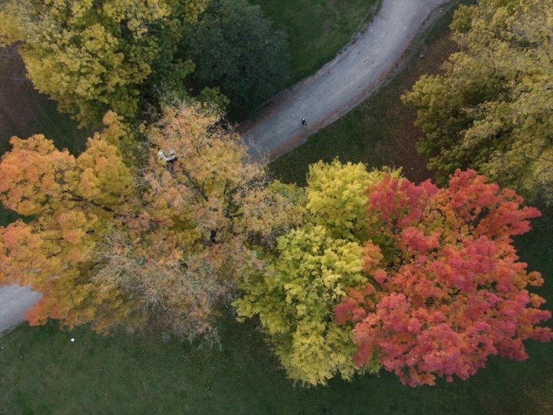 Efteni Gölü, sonbaharın büyülü renklerine büründü