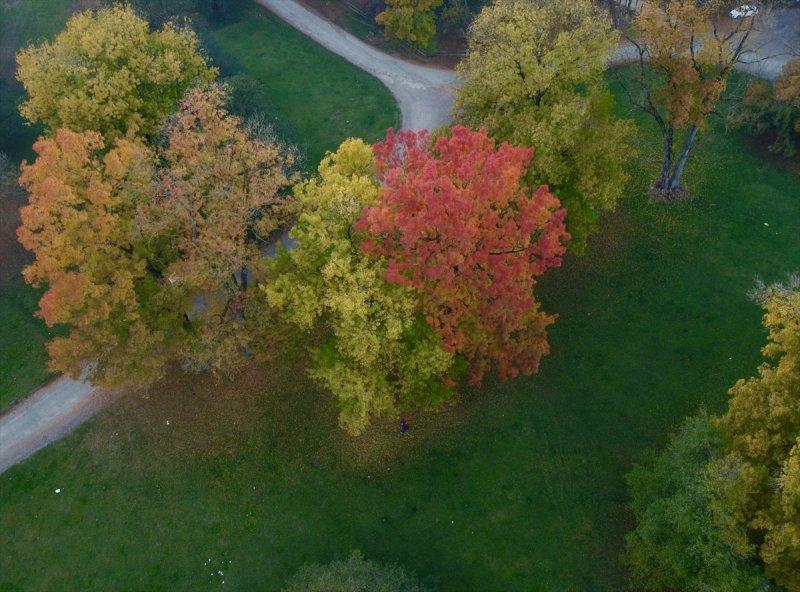 Efteni Gölü, sonbaharın büyülü renklerine büründü