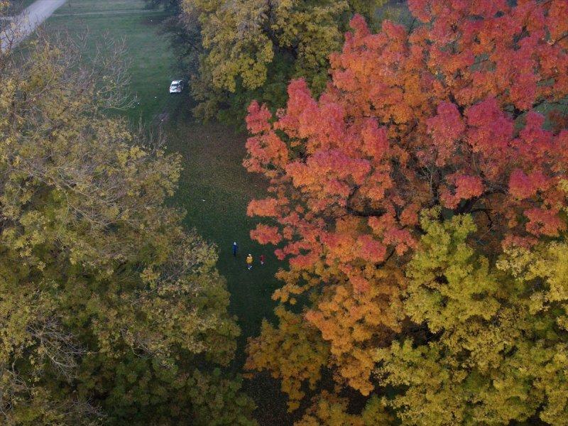 Efteni Gölü, sonbaharın büyülü renklerine büründü