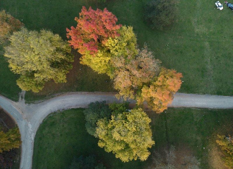 Efteni Gölü, sonbaharın büyülü renklerine büründü