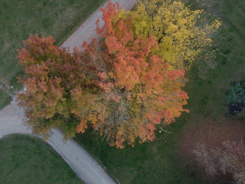 Efteni Gölü, sonbaharın büyülü renklerine büründü