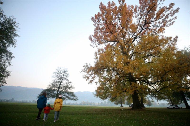 Efteni Gölü, sonbaharın büyülü renklerine büründü
