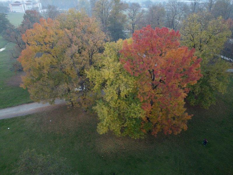 Efteni Gölü, sonbaharın büyülü renklerine büründü