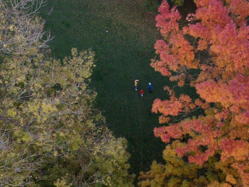 Efteni Gölü, sonbaharın büyülü renklerine büründü
