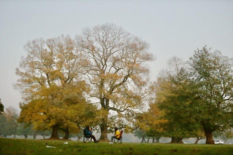 Efteni Gölü, sonbaharın büyülü renklerine büründü