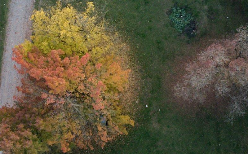 Efteni Gölü, sonbaharın büyülü renklerine büründü