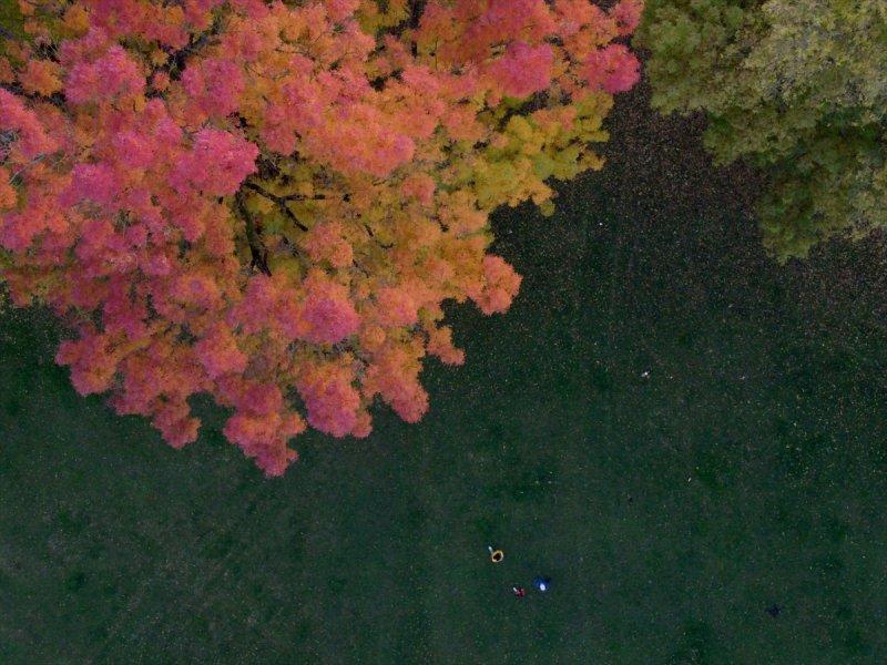 Efteni Gölü, sonbaharın büyülü renklerine büründü