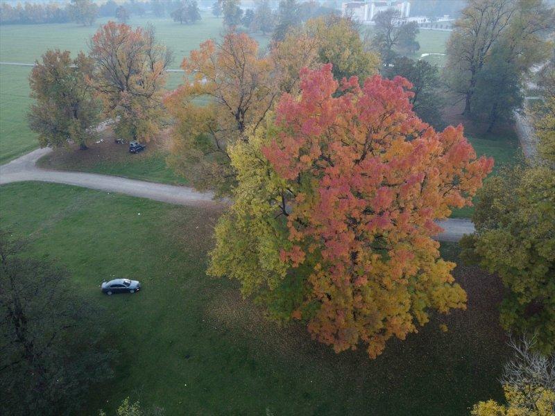 Efteni Gölü, sonbaharın büyülü renklerine büründü