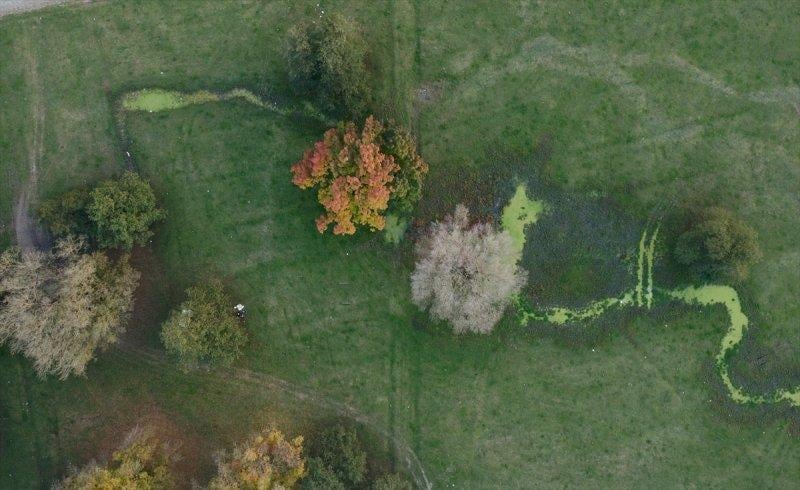 Efteni Gölü, sonbaharın büyülü renklerine büründü