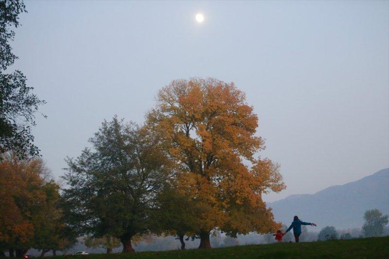 Efteni Gölü, sonbaharın büyülü renklerine büründü