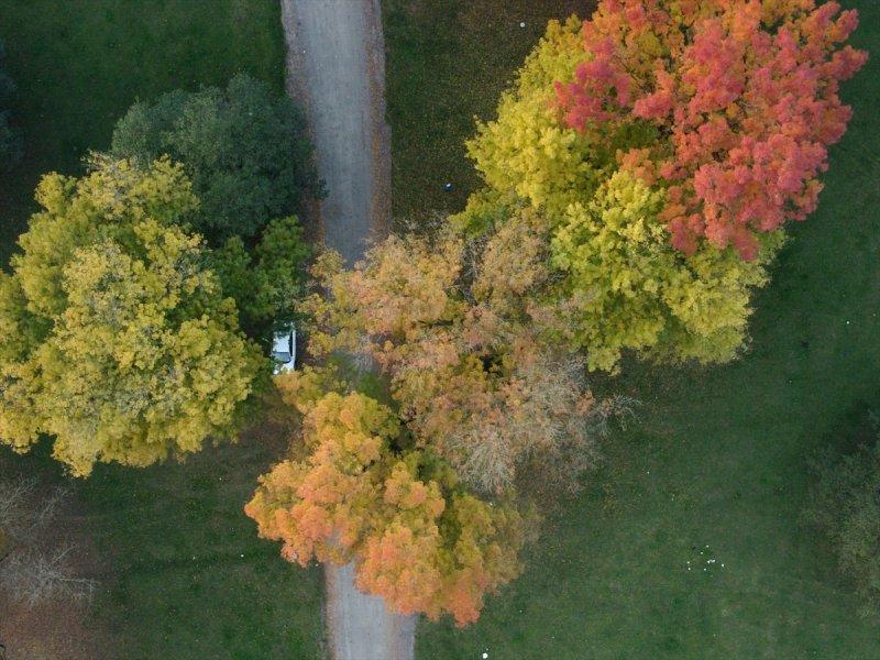 Efteni Gölü, sonbaharın büyülü renklerine büründü