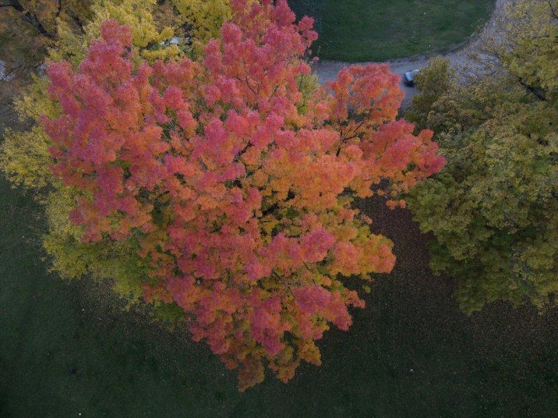 Efteni Gölü, sonbaharın büyülü renklerine büründü