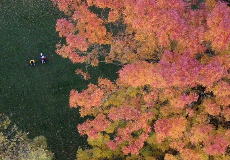 Efteni Gölü, sonbaharın büyülü renklerine büründü