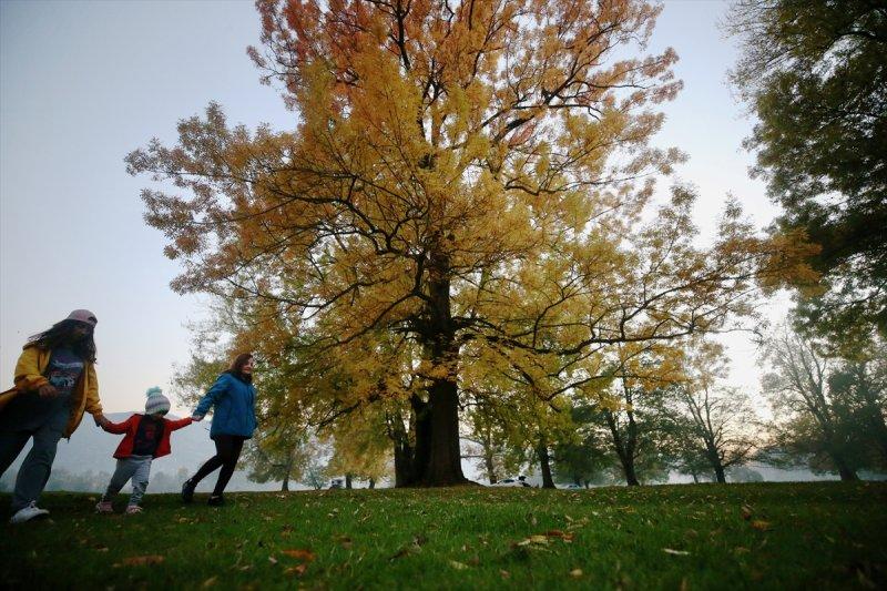 Efteni Gölü, sonbaharın büyülü renklerine büründü