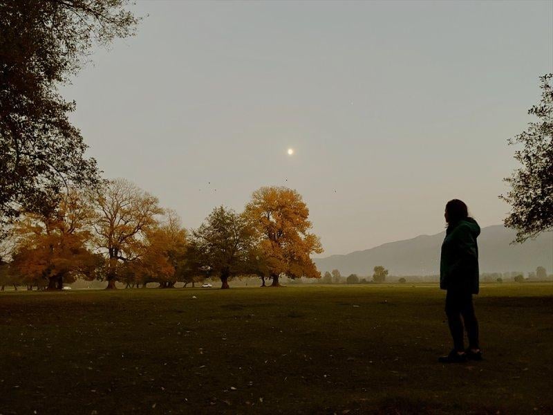 Efteni Gölü, sonbaharın büyülü renklerine büründü