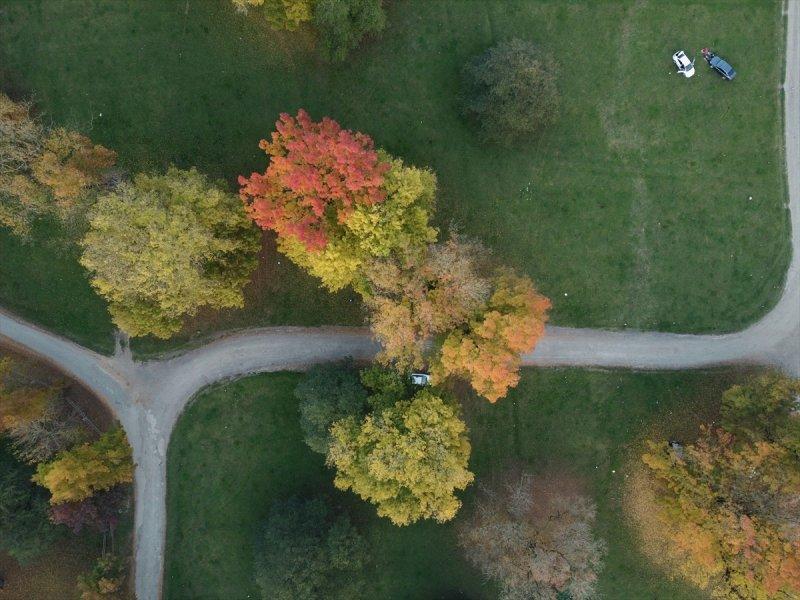 Efteni Gölü, sonbaharın büyülü renklerine büründü
