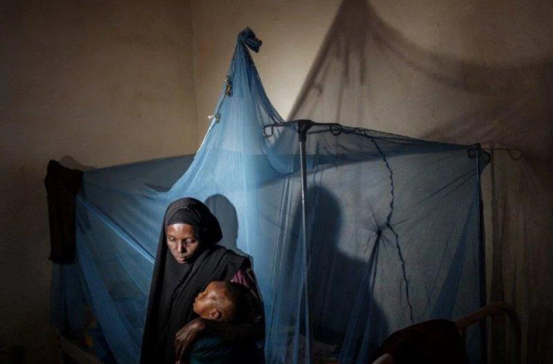 AFP, 2022 yılının fotoğraflarını seçti