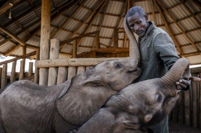 AFP, 2022 yılının fotoğraflarını seçti