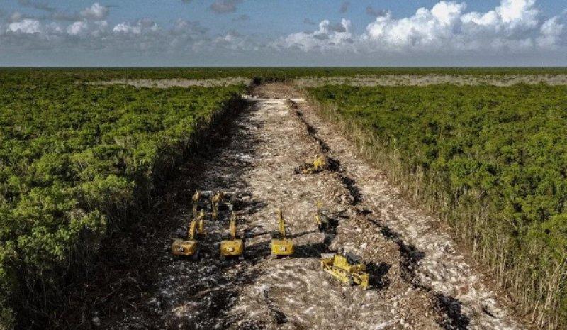 AFP, 2022 yılının fotoğraflarını seçti