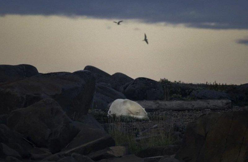 AFP, 2022 yılının fotoğraflarını seçti