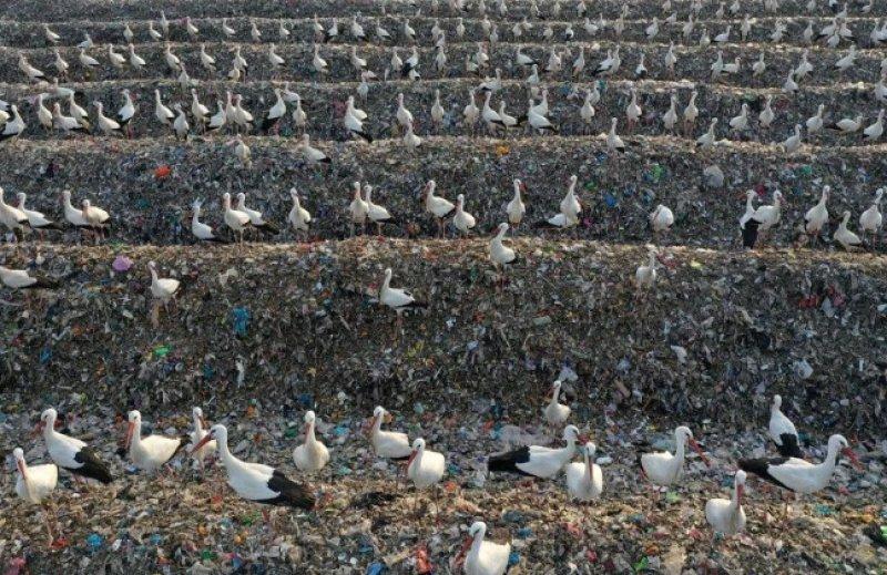 AFP, 2022 yılının fotoğraflarını seçti