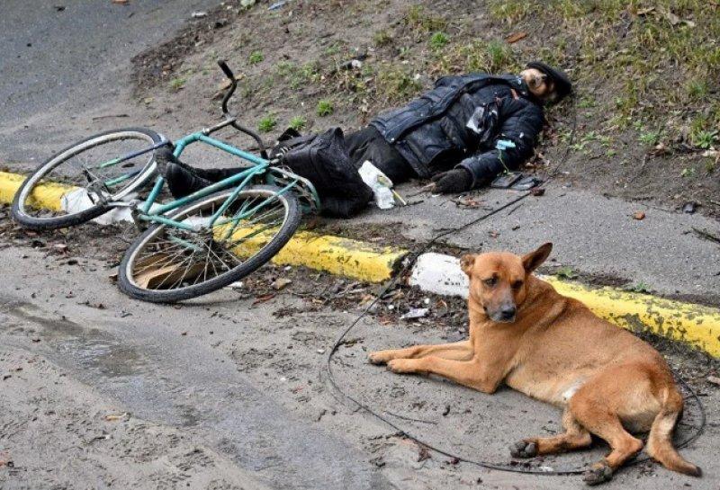 AFP, 2022 yılının fotoğraflarını seçti