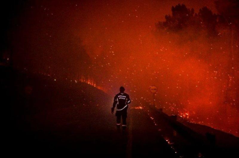 AFP, 2022 yılının fotoğraflarını seçti