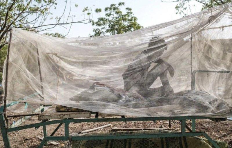 AFP, 2022 yılının fotoğraflarını seçti