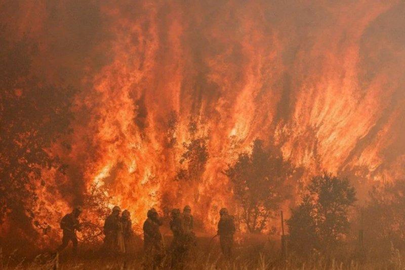 AFP, 2022 yılının fotoğraflarını seçti