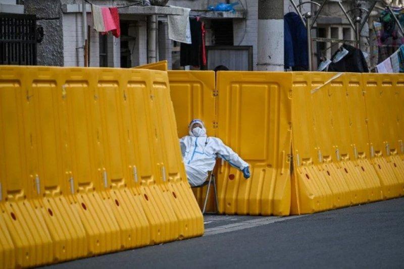 AFP, 2022 yılının fotoğraflarını seçti