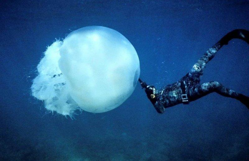 AFP, 2022 yılının fotoğraflarını seçti