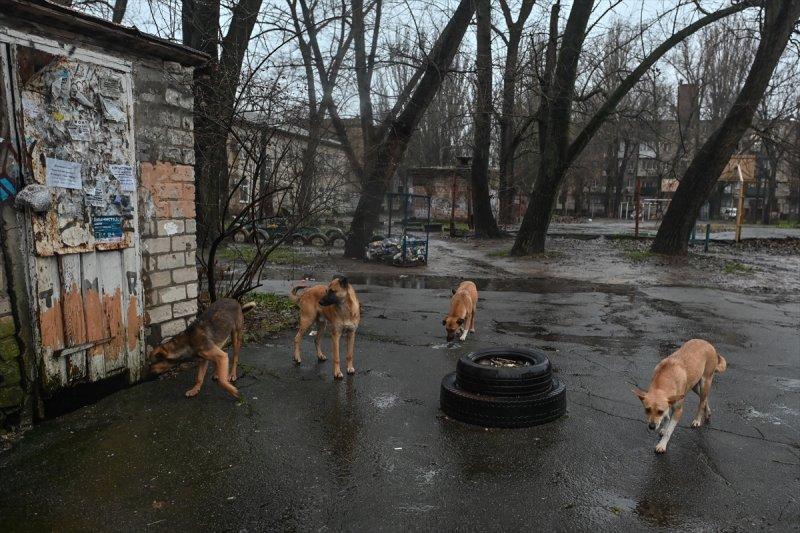 İşgal altındaki Herson'da günlük yaşam