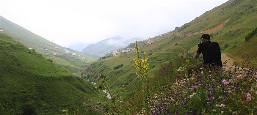 Gökyüzüne uzanan dağlar: Karadeniz'in en güzel yaylaları
