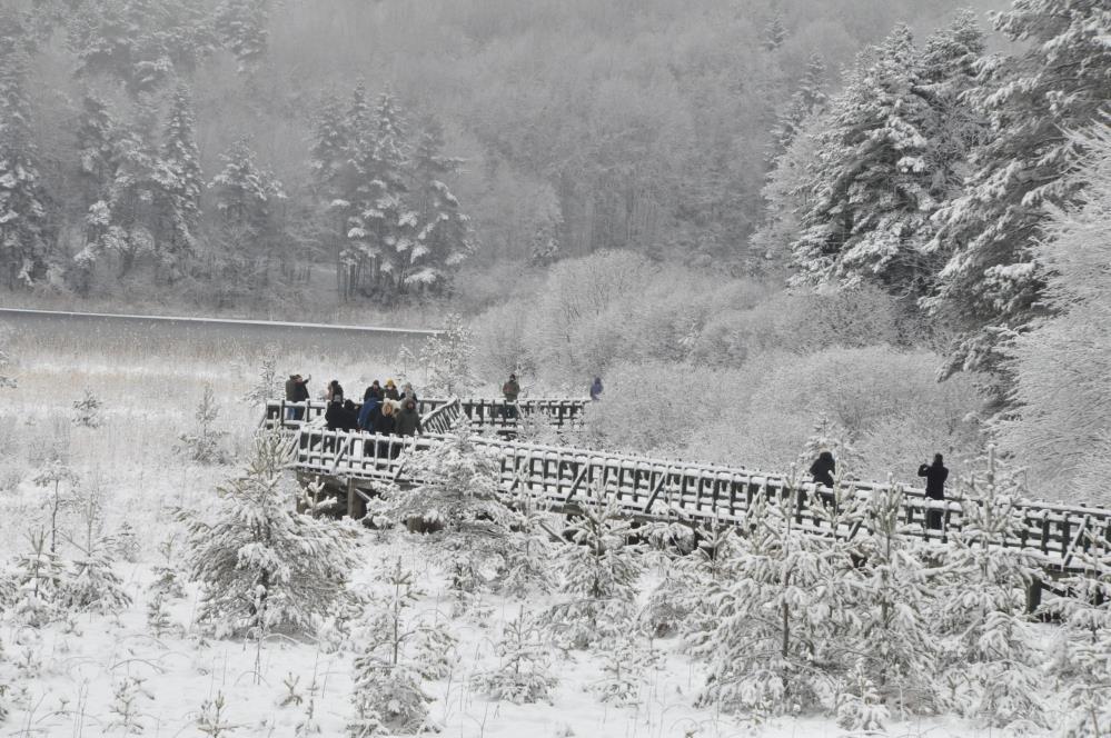 Abant Gölü'nden kar manzaraları