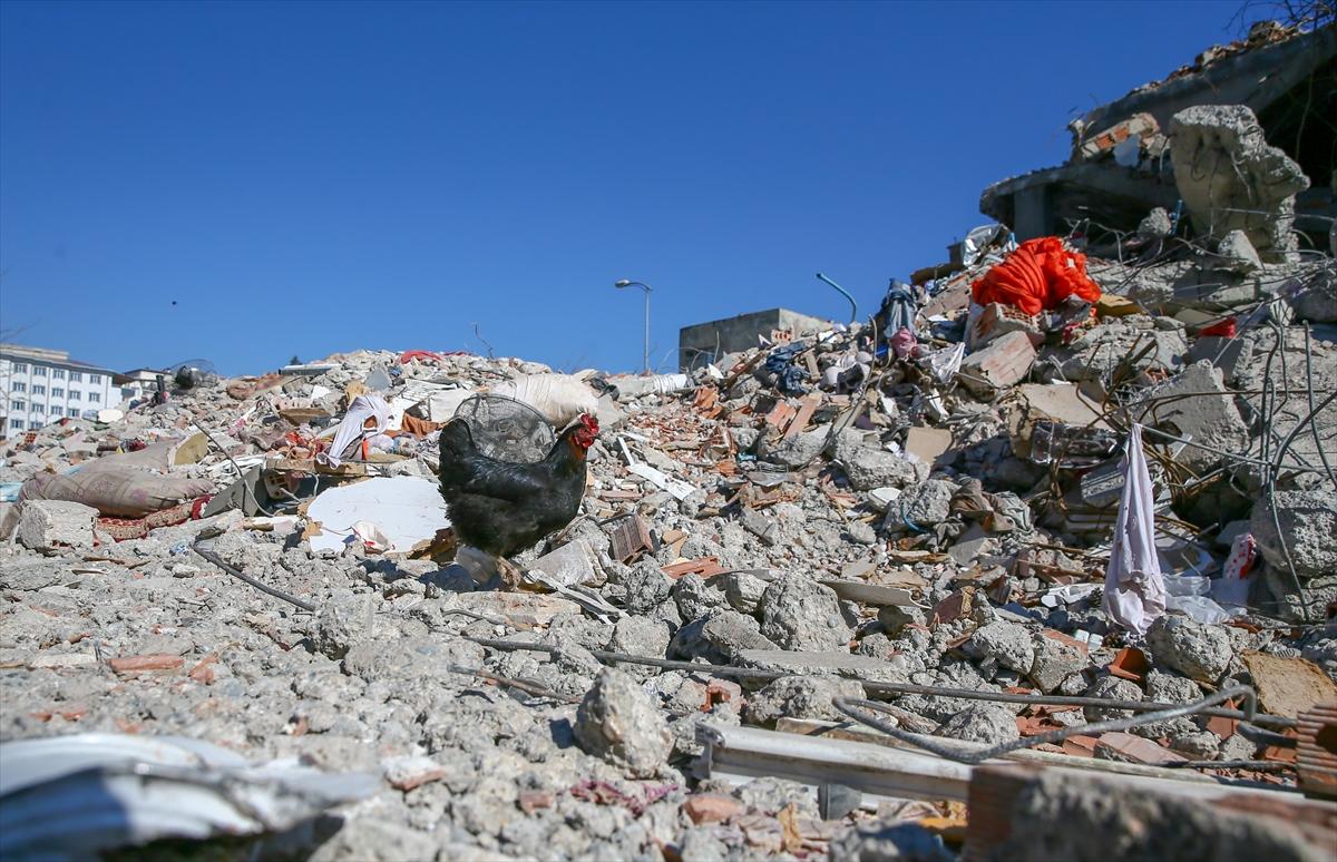 Depremin vurduğu Nurdağı'nda depremzedelerden geriye kalanlar