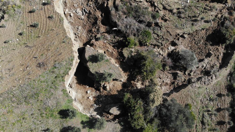 Depremin şiddeti bir kez daha ortaya çıktı! Hatay'da fay yarıkları ağaçları yuttu