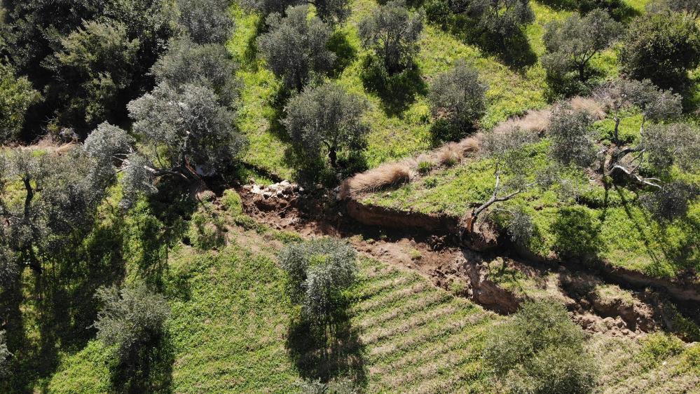 Depremin şiddeti bir kez daha ortaya çıktı! Hatay'da fay yarıkları ağaçları yuttu