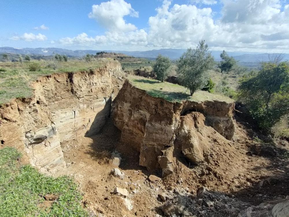 Depremin şiddeti bir kez daha ortaya çıktı! Hatay'da fay yarıkları ağaçları yuttu