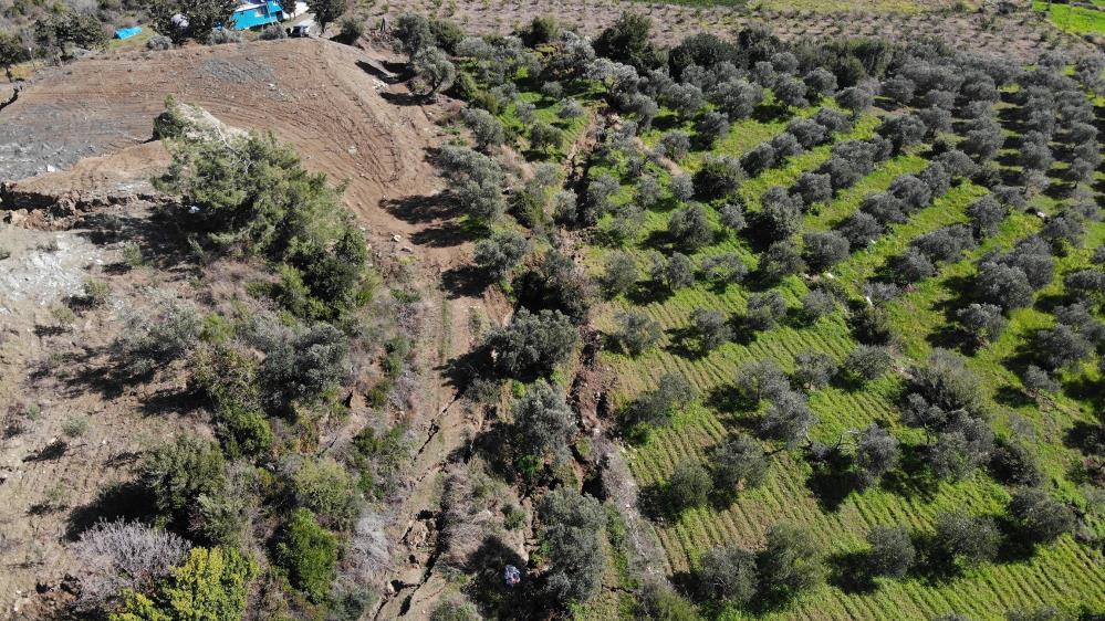 Depremin şiddeti bir kez daha ortaya çıktı! Hatay'da fay yarıkları ağaçları yuttu