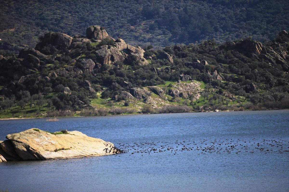 Yağışların ardından Bafa Gölü eski haline döndü