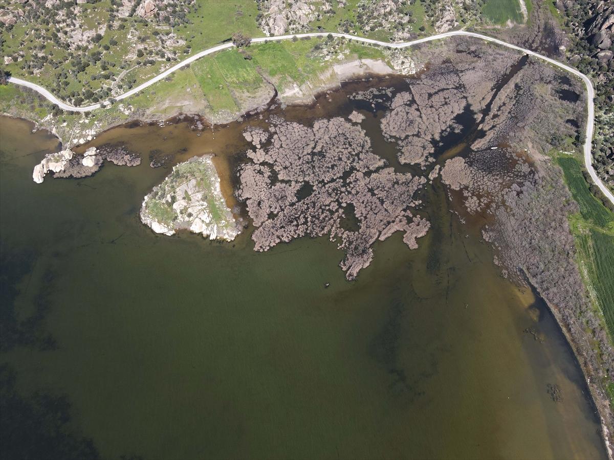 Yağışların ardından Bafa Gölü eski haline döndü