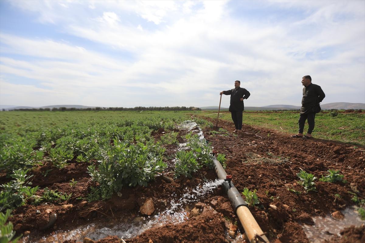 5 yıl geçti: Afrin'de huzur hakim